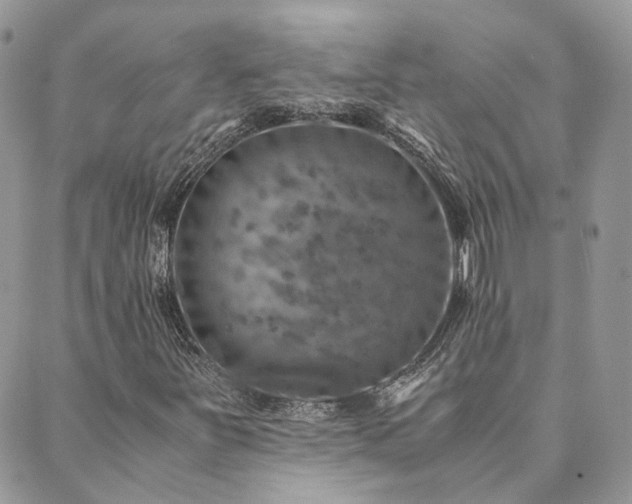 X0000089971251200706291337