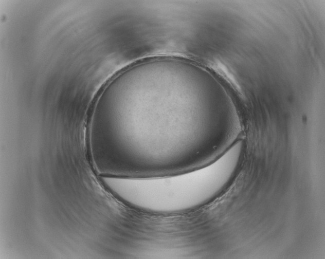 X0000089971268200706291337