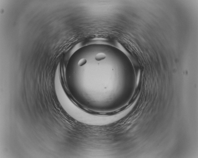 X0000089971298200706291336