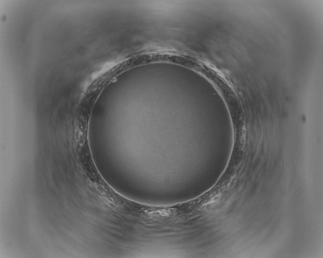 X0000089971303200706291336