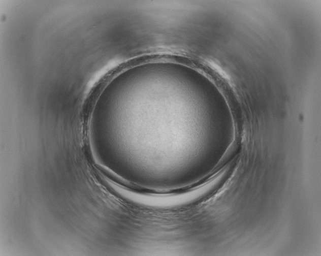 X0000089971310200706291336