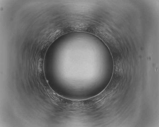 X0000089971346200706291336