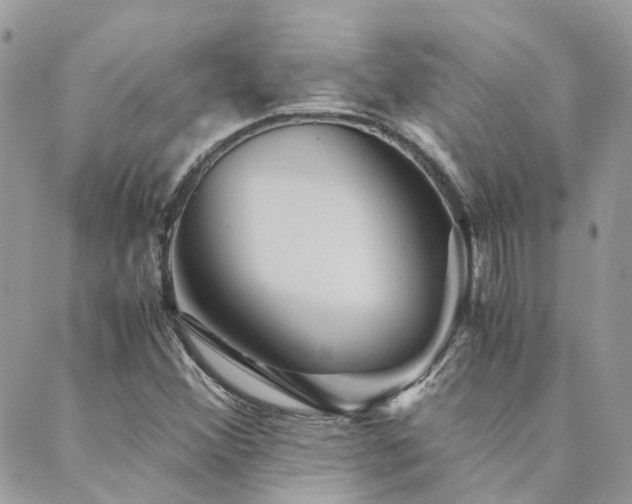 X0000089971356200706291336