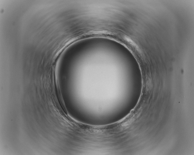 X0000089971361200706291336