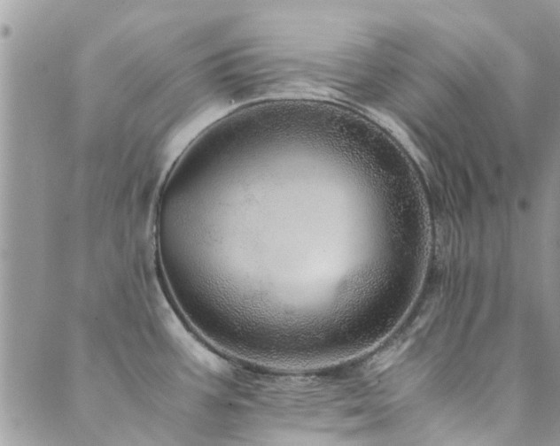 X0000089971387200706291335