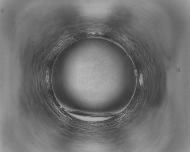 X0000089971396200706291334