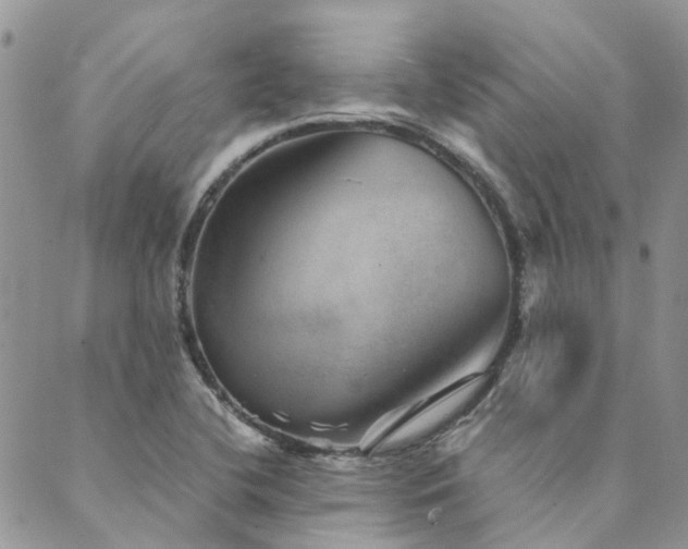 X0000089971412200706291335