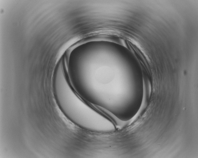 X0000089971426200706291335