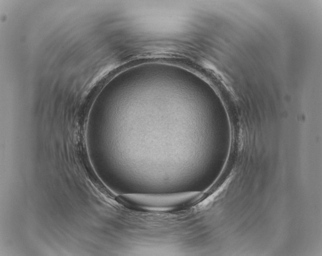 X0000089971449200706291334