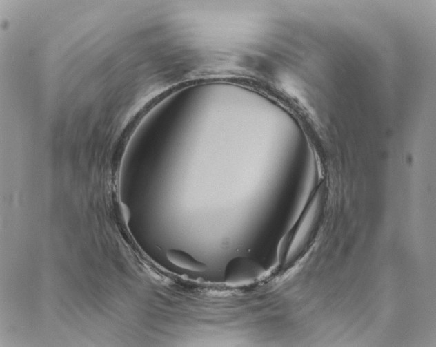 X0000089971457200706291334