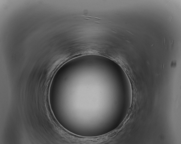 X0000089970001200707061210