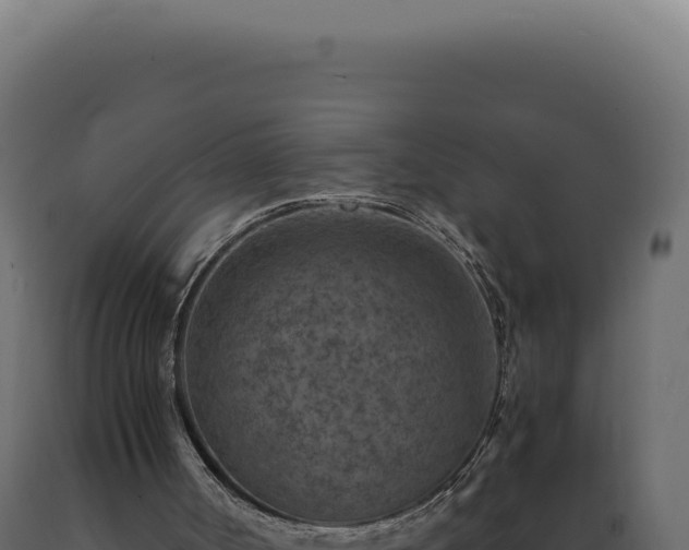 X0000089970002200707061210