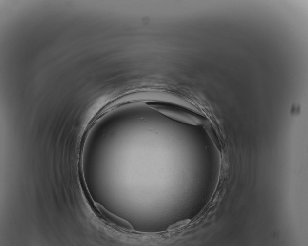 X0000089970003200707061210
