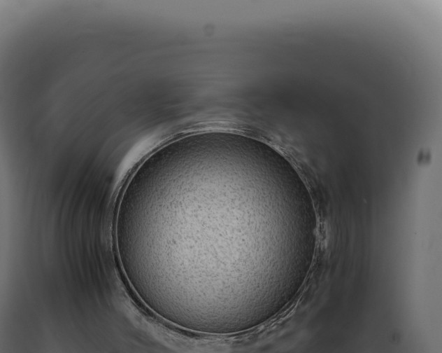X0000089970004200707061210