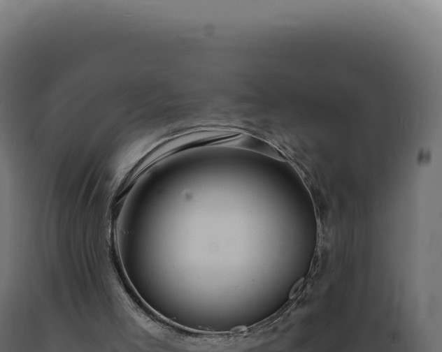 X0000089970005200707061210
