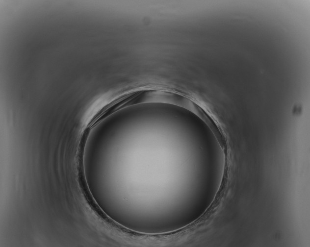 X0000089970007200707061210