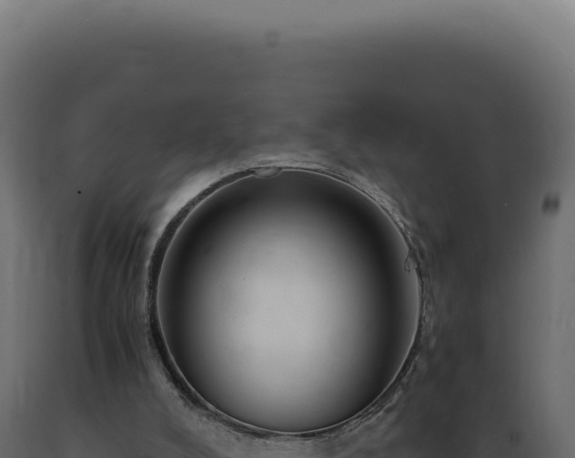 X0000089970008200707061210