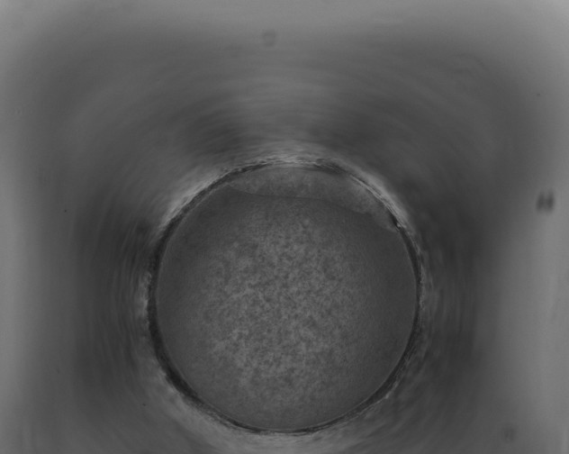 X0000089970010200707061210