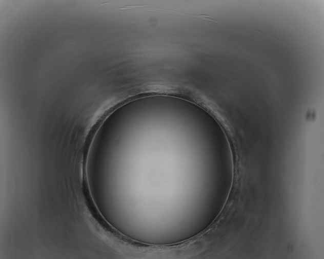 X0000089970011200707061210