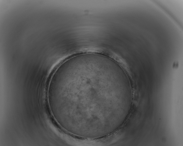 X0000089970012200707061210