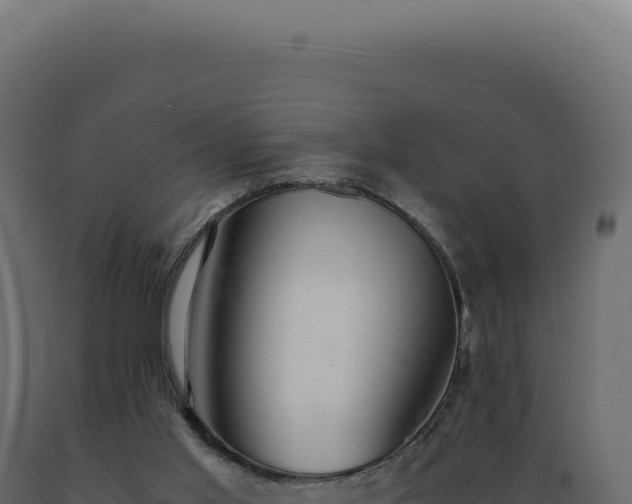 X0000089970013200707061210