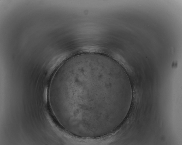 X0000089970014200707061210