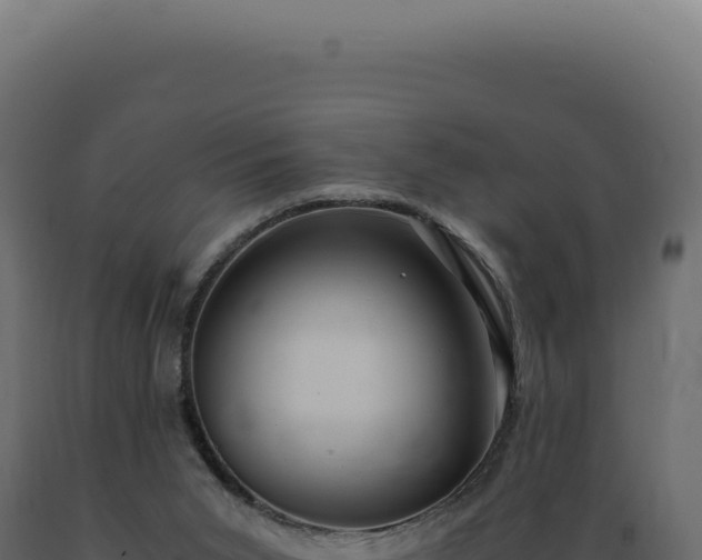 X0000089970015200707061210