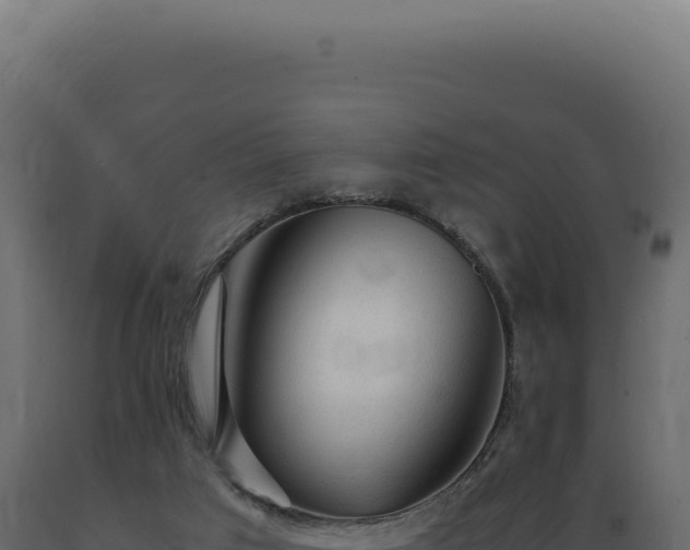 X0000089970017200707061210