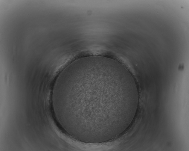 X0000089970018200707061210