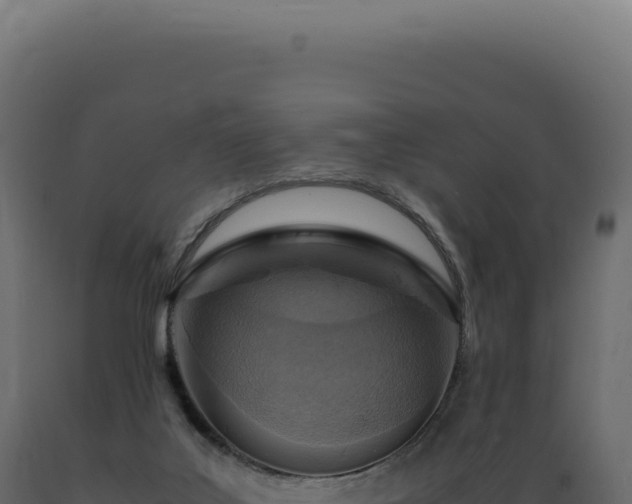 X0000089970019200707061210