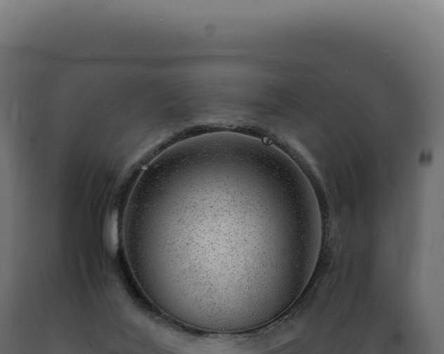 X0000089970020200707061210