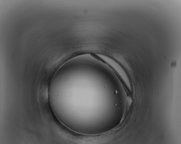 X0000089970021200707061210