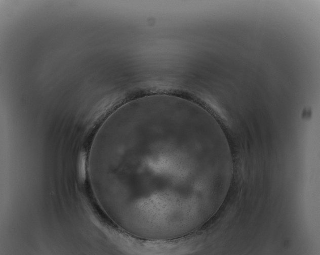 X0000089970022200707061210