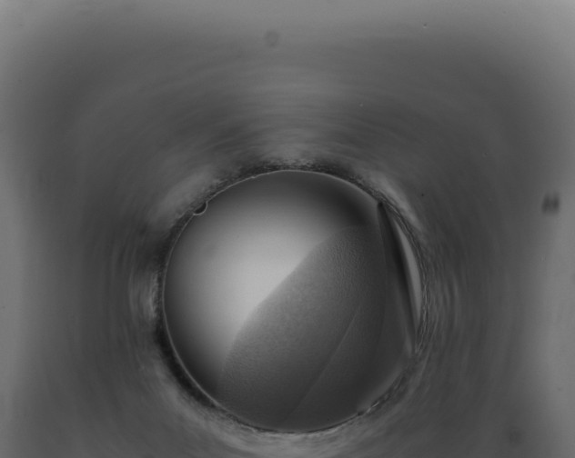 X0000089970023200707061210
