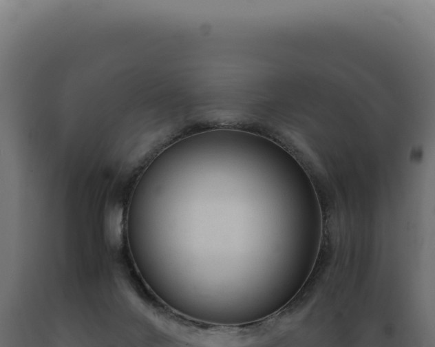 X0000089970024200707061210