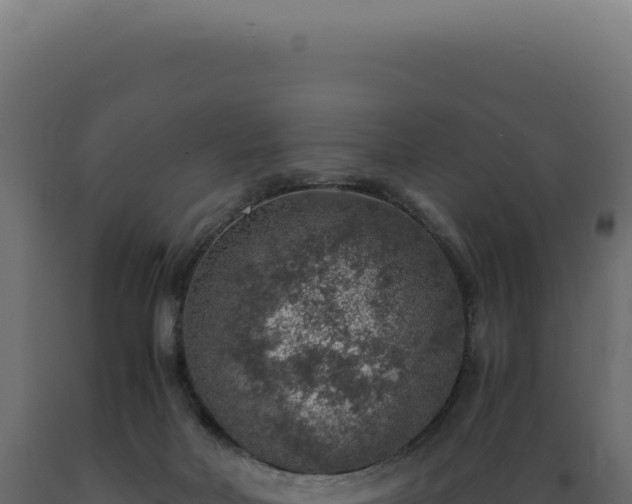 X0000089970026200707061210