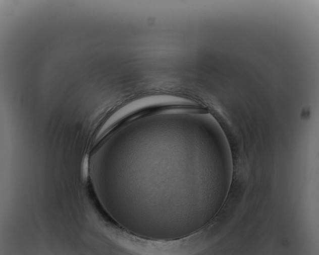 X0000089970027200707061210