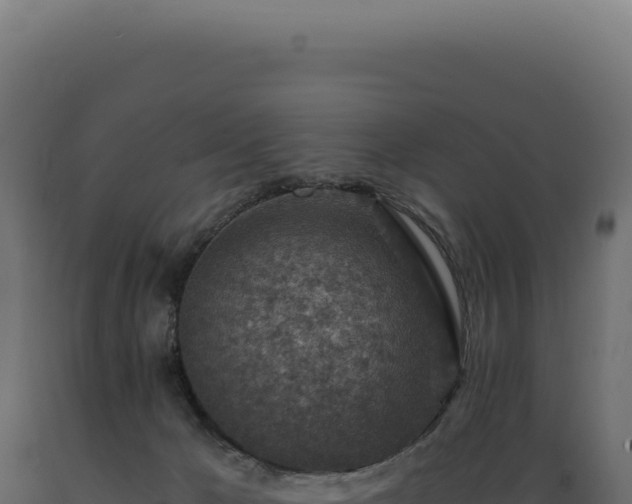 X0000089970029200707061210