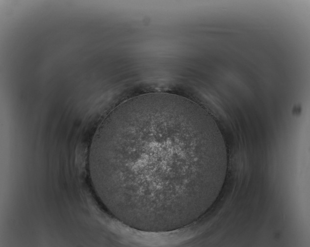 X0000089970030200707061210