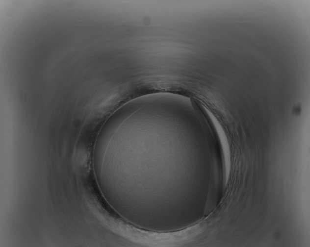 X0000089970031200707061210