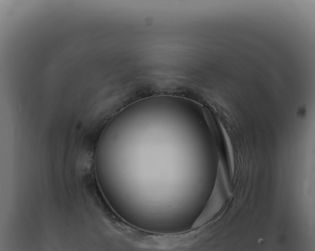 X0000089970033200707061210