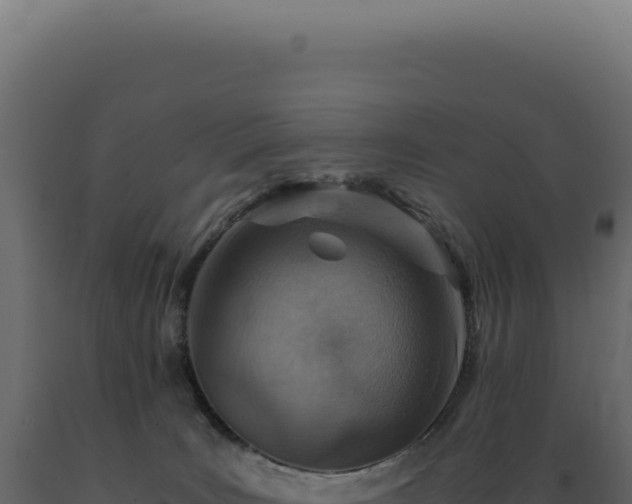 X0000089970035200707061210