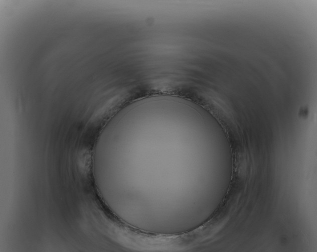 X0000089970036200707061210