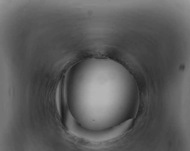 X0000089970037200707061210