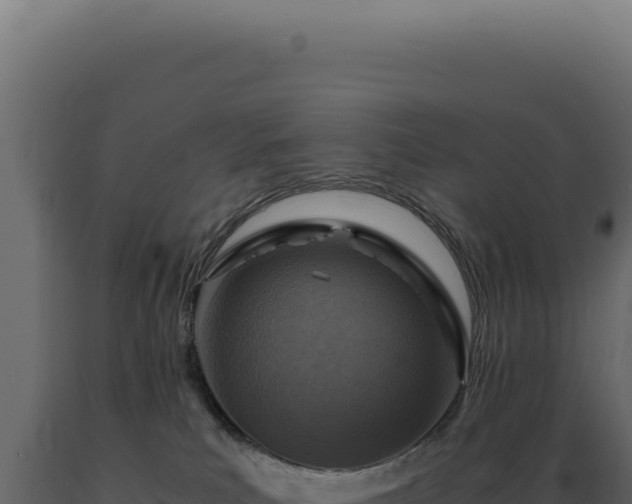 X0000089970039200707061210