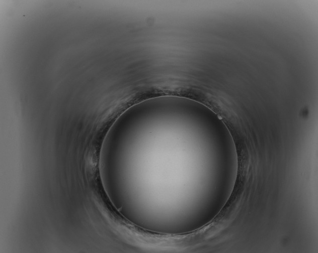 X0000089970040200707061210