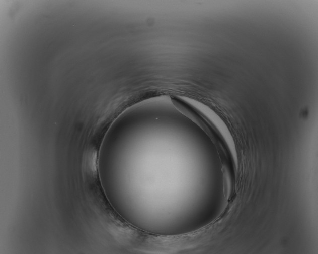 X0000089970041200707061210