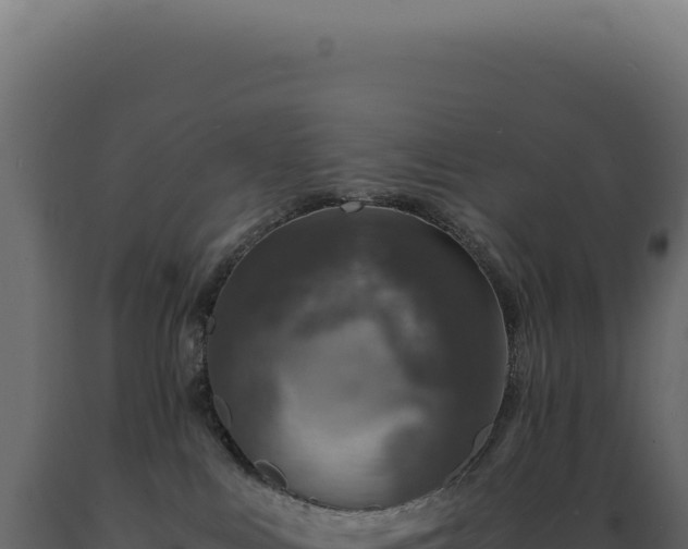 X0000089970043200707061209