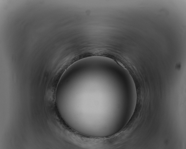 X0000089970044200707061209