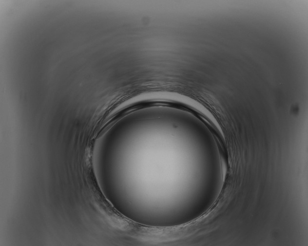 X0000089970045200707061209